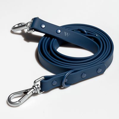 Image showing  Leash, Blue, Standard