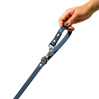 Image showing  Leash, Blue, Standard