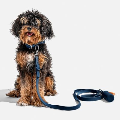 Image showing  Leash, Blue, Standard