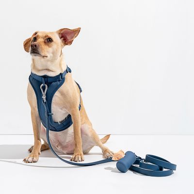 Image showing  Poop Bag Carrier, Blue