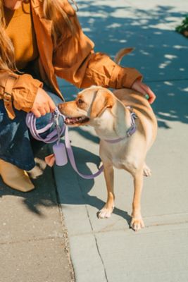 Image showing  Poop Bag Carrier, Lilac