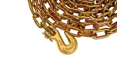 Image showing  BulletProof Light Duty 1/4 in. x 16 ft. Transport Chain