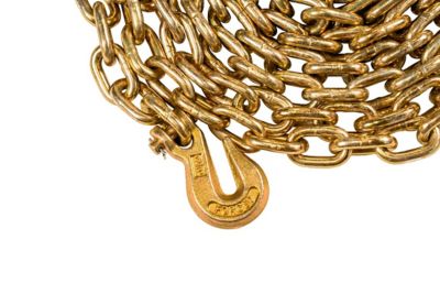 Image showing  Heavy Duty 3/8 in. x 20 ft. Transport Chain