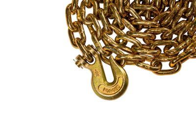 Image showing  BulletProof Extreme Duty 1/2 in. x 12 ft. Transport Chain