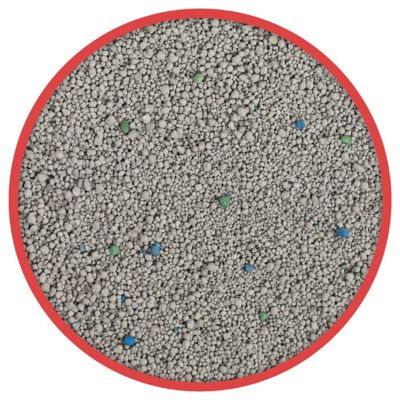 Image showing  Scoop 24/7 Performance Continuous Odor Control for Multiple Cats Cat Litter