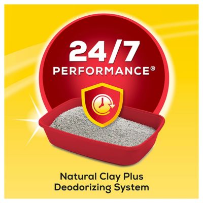 Image showing  Scoop 24/7 Performance Continuous Odor Control for Multiple Cats Cat Litter