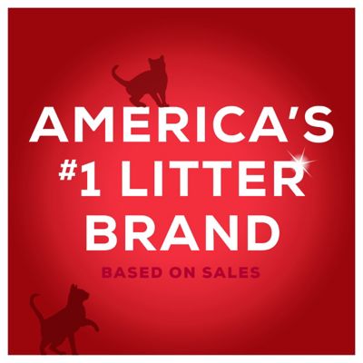 Image showing 8 th Purina Tidy Cats Scoop 24/7 Performance Continuous Odor Control for Multiple Cats Cat Litter