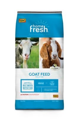 Kent Home Fresh 16 Grow and Finish Pelleted Goat Feed, 50 lb.