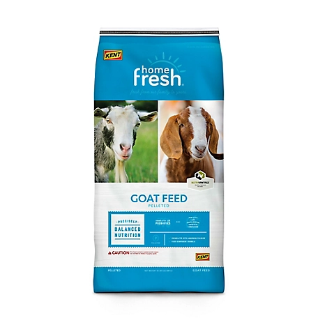 Kent Home Fresh 16 Grow and Finish Pelleted Goat Feed, 50 lb.