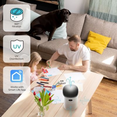 Image showing  WIFI Air Purifier, VP-300-WI, White