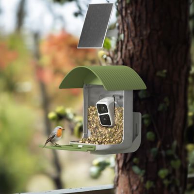 Image showing  Smart Bird Feeder with Camera, Detached Solar Panel, App Control, Wi-Fi Connectivity, PAV300