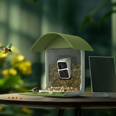 Image showing  Smart Bird Feeder with Camera, Detached Solar Panel, App Control, Wi-Fi Connectivity, PAV300