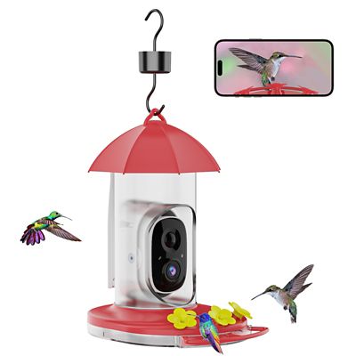 BERDZ Smart Hummingbird Feeder with Camera, Detached Solar Panel, App Control, Wi-Fi Connectivity