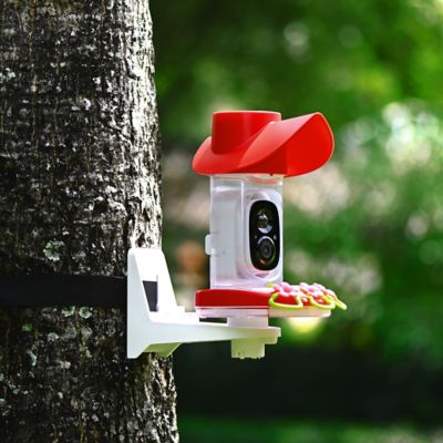 Image showing  Smart Hummingbird Feeder with Camera, Detached Solar Panel, App Control, Wi-Fi Connectivity