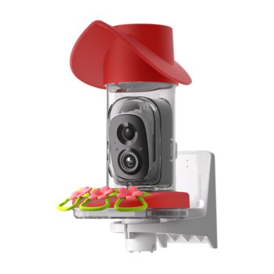 Image showing  Smart Hummingbird Feeder with Camera, Detached Solar Panel, App Control, Wi-Fi Connectivity