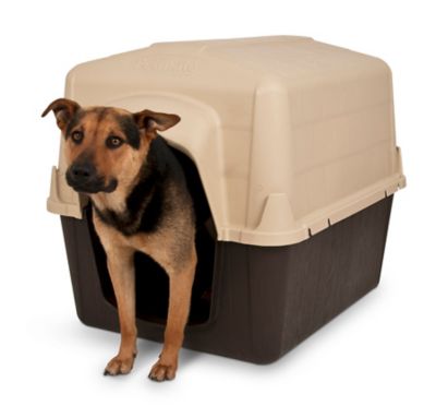 tractor supply dog igloo