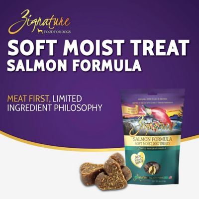 Image showing  Soft Moist Dog Treats Salmon Formula Dog Treats, 4 oz.