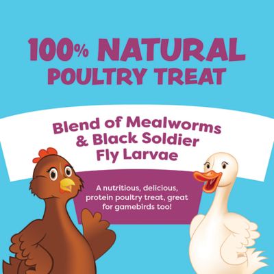 Image showing  Dynamic Duo Bug Jug, 25 oz.