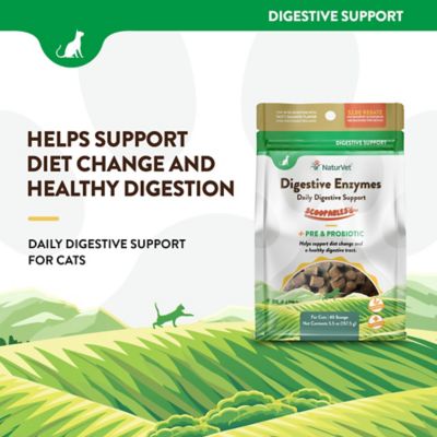 Image showing  Scoopables Digestive Enzymes Daily Digestive Support Supplement For Cats