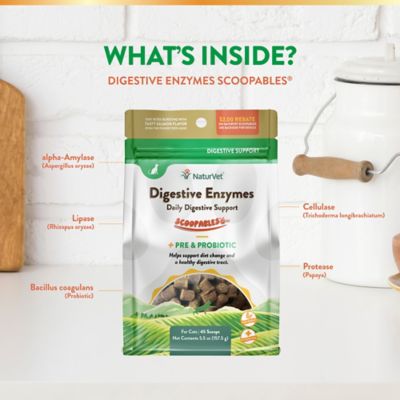 Image showing  Scoopables Digestive Enzymes Daily Digestive Support Supplement For Cats
