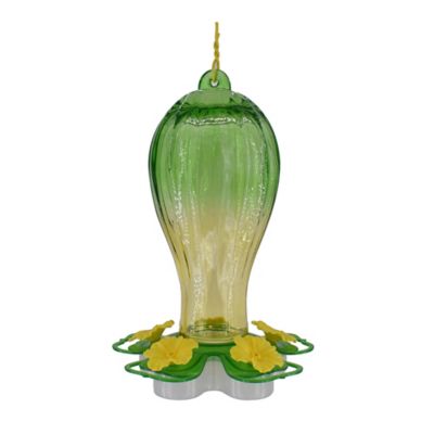 Royal Wing Ombre Glass Hummingbird Feeder, Green/Yellow, 25 oz. Capacity