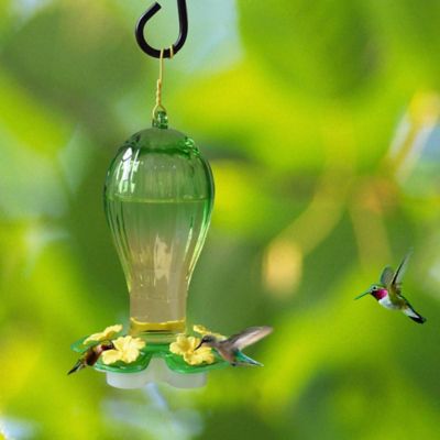 Image showing  Ombre Glass Hummingbird Feeder, Green/Yellow, 25 oz. Capacity