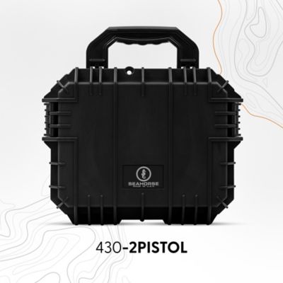 Image showing  430 2 Pistol Case, Black