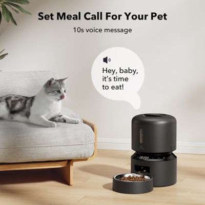 Image showing  Granary Stainless Steel 3 L. Automatic Dog and Cat Feeder with Voice Recorder, Black