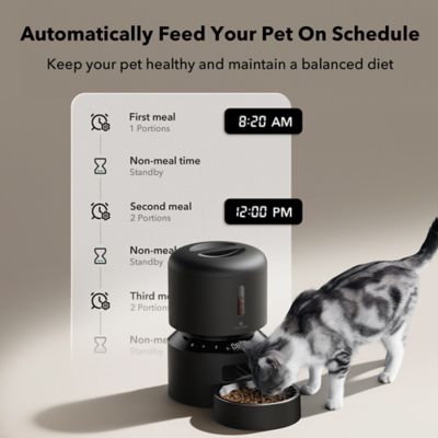 Image showing  Granary Stainless Steel 3 L. Automatic Dog and Cat Feeder with Voice Recorder, Black