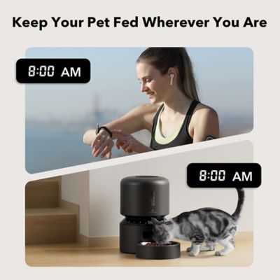 Image showing 5 th PetLibro Granary Stainless Steel 3 L. Automatic Dog and Cat Feeder with Voice Recorder, Black