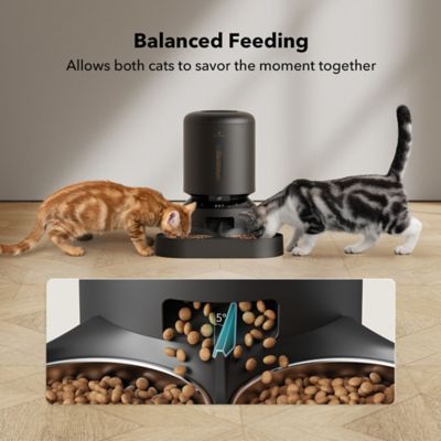 Image showing  Granary Wifi Stainless Steel Dual Food Tray 5 L. Automatic Dog and Cat Feeder with Camera Monitoring, Black