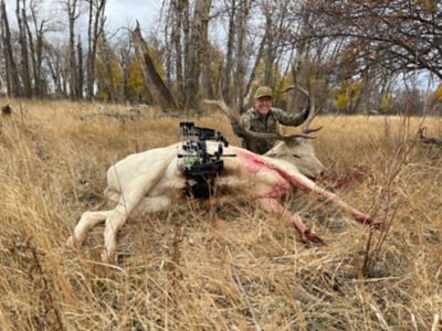 Image showing  Recovery System Bowhunting Recovery System, RF Transmission Recovery System - Compound bow setup