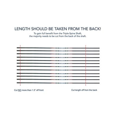 Image showing  Cobra Dual Spine Standard to Micro Arrow, 32 in., Shaft Only, 12-Pack, Cobra Spine 300 Shine