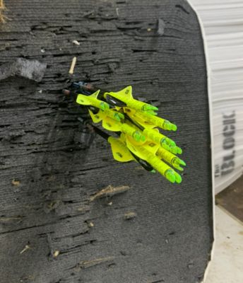 Image showing  Cobra Dual Spine Standard to Micro Arrow, 32 in., Shaft Only, 12-Pack, Cobra Spine 340 Matte