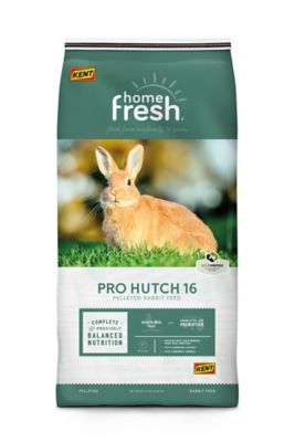 Kent Home Fresh Pro Hutch 16 Rabbit Feed Pellets, 50 lb.