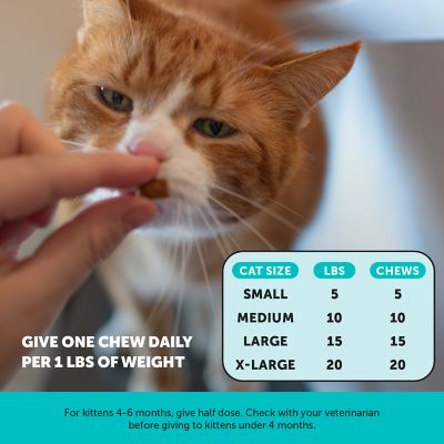 Image showing  Dual Texture Calming Supplement for Cats