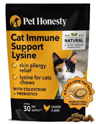 Pet Honesty Dual Texture Immune Support Lysine for Cats