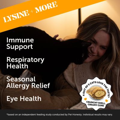 Image showing  Dual Texture Immune Support Lysine for Cats