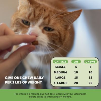 Image showing  Dual Texture Hairball Support Supplement for Cats