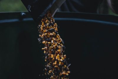 Image showing 5 th Big Tine Fortified Deer Blend, Pear, 40 lb. bag