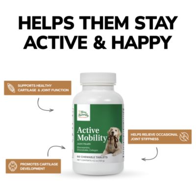 Image showing  Active Mobility