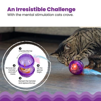 Image showing  Hamster Ball Interactive Treat Stuffer for Cats with Plush Toy Inside, Purple