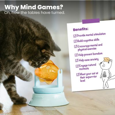 Image showing 5 th Catstages 2-in-1 Treat Toy Spinning Fish Cat Toy and Cat Ball Track Topper