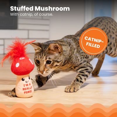 Image showing  A Really Fungi Mushroom Kicker Catnip Toy and Dental Toy for Cats