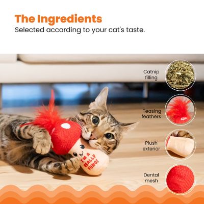 Image showing  A Really Fungi Mushroom Kicker Catnip Toy and Dental Toy for Cats