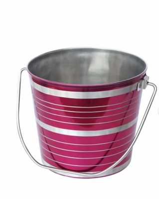 Advance Pet Product Round Heavy Stainless Steel Colored Bucket, 3041