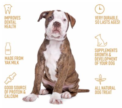 Image showing  Gourmet Cheesy Chew, 7010