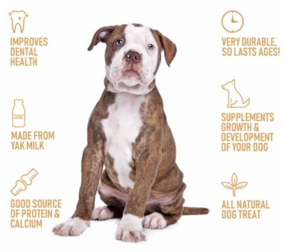 Image showing  Gourmet Cheesy Chew, 7011