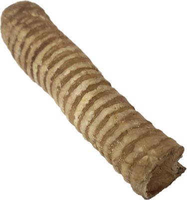 Image showing  Water Buffalo Trachea 6 in. 3 pc. Reselable Bag with header Card