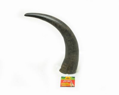 Advance Pet Product Water Buffalo Horn Bulk, No Packaging, 7106